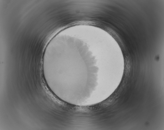 X0000115170852200912091022