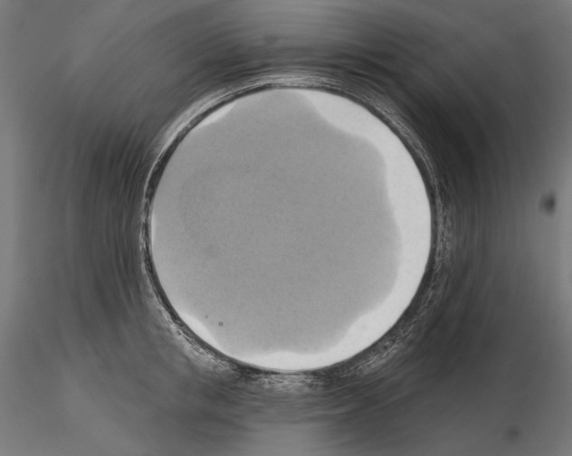 X0000115170853200912091022