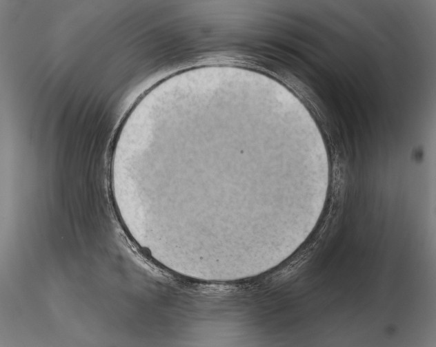 X0000115170854200912091022