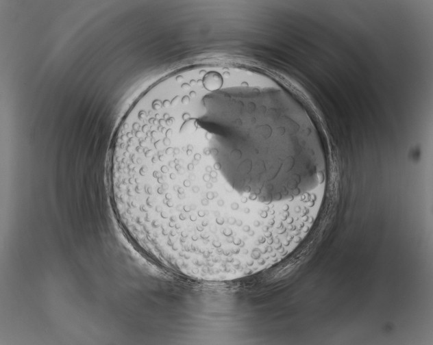 X0000115170855200912091022