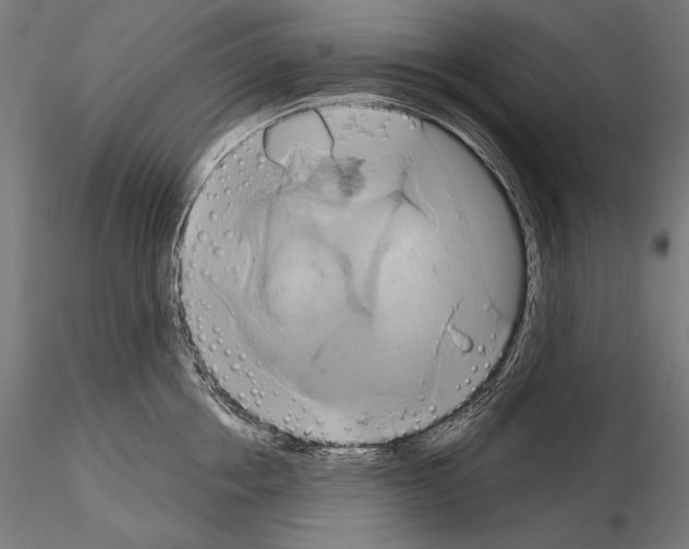 X0000115170858200912091022