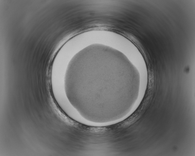 X0000115170859200912091022