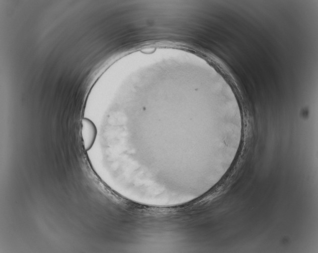 X0000115170860200912091022