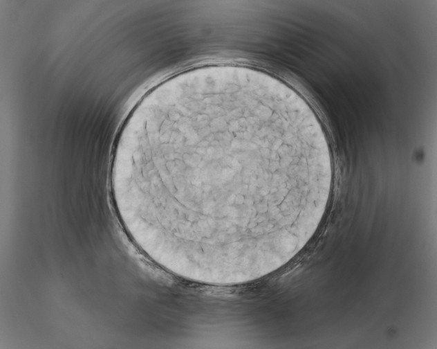 X0000115170861200912091022