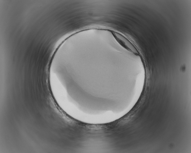 X0000115170862200912091022