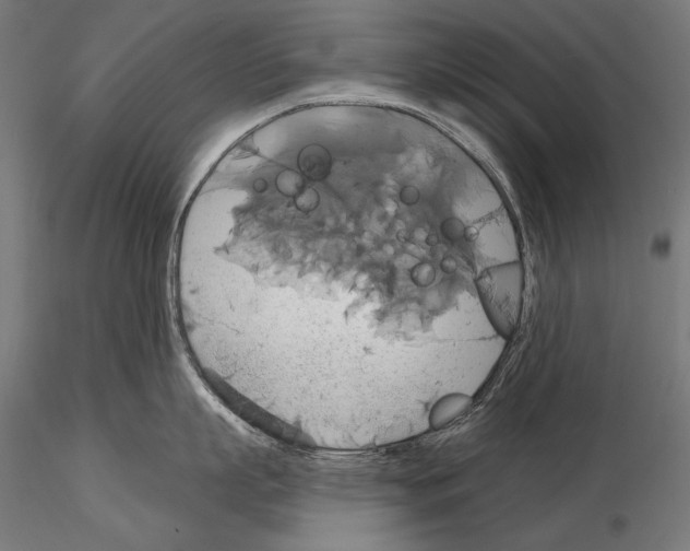 X0000115170863200912091022