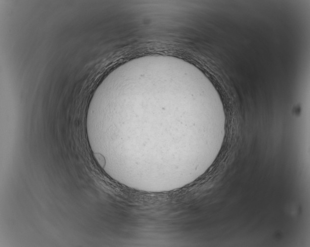 X0000115170865200912091021