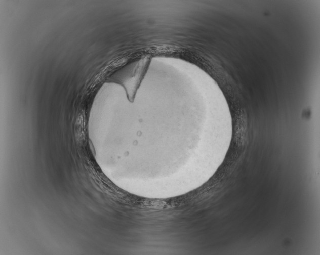 X0000115170866200912091021