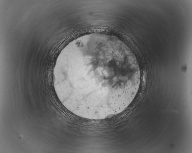 X0000115170867200912091021