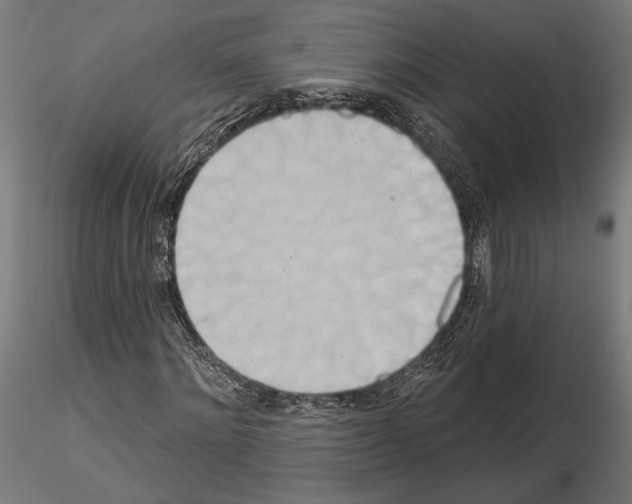 X0000115170868200912091021