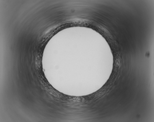 X0000115170869200912091021