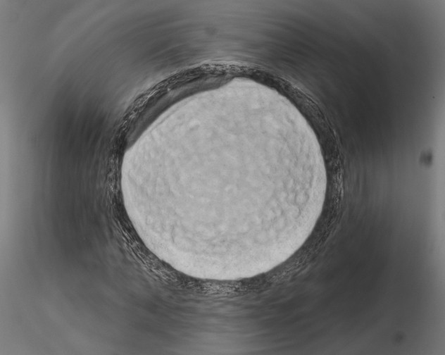 X0000115170870200912091021