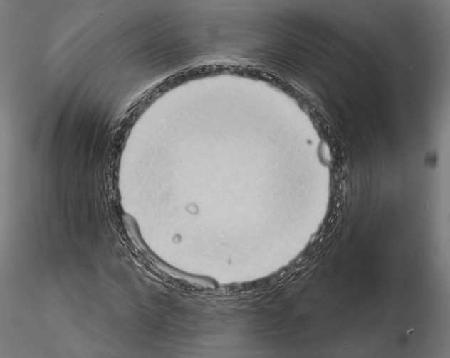 X0000115170872200912091021