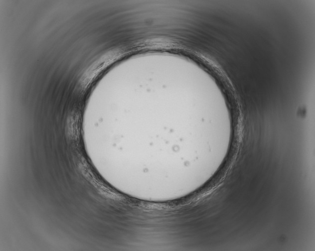 X0000115170873200912091021