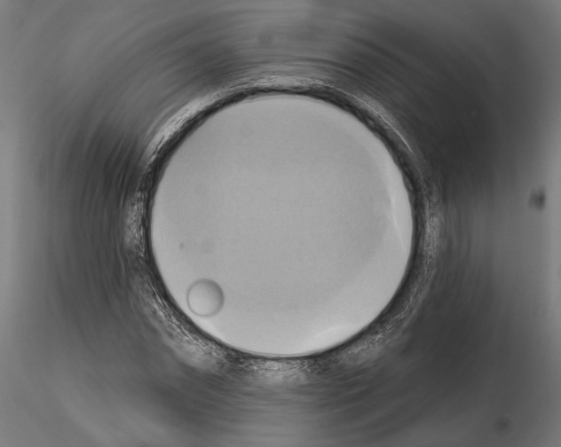 X0000115170874200912091021