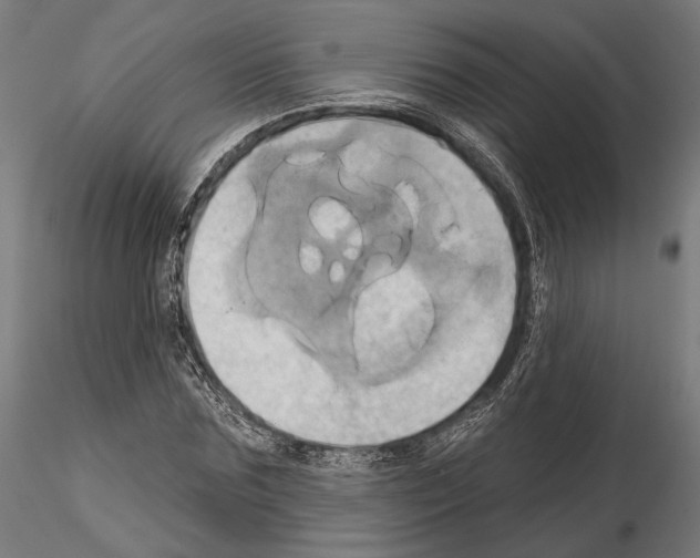 X0000115170875200912091021