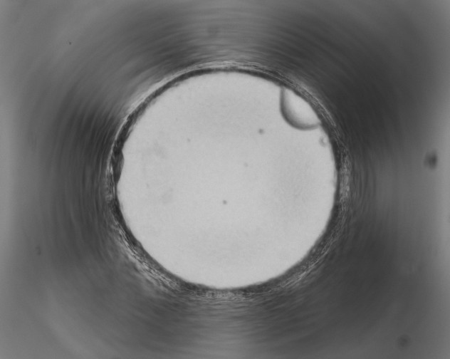 X0000115170876200912091021