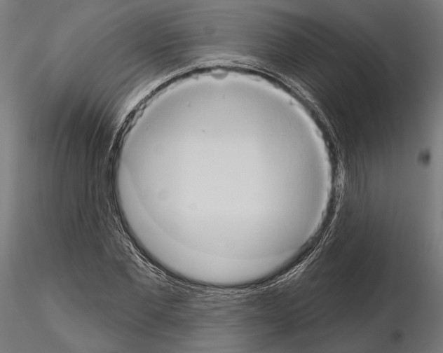 X0000115170877200912091021