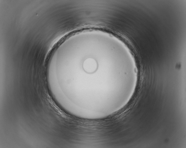 X0000115170878200912091021