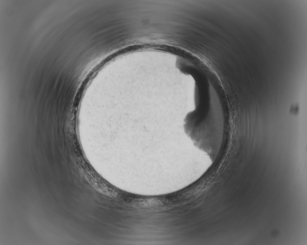 X0000115170879200912091021