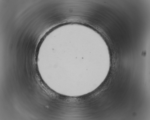 X0000115170880200912091021