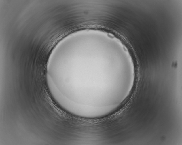 X0000115170881200912091021