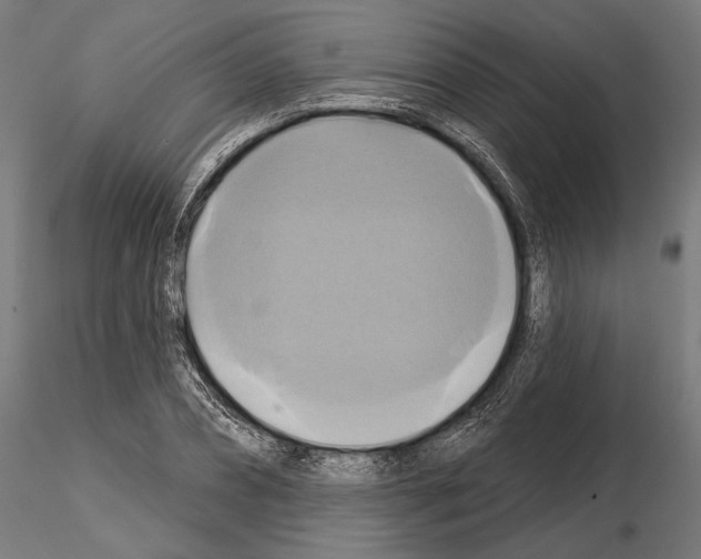 X0000115170882200912091021