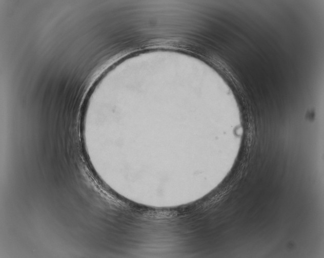 X0000115170884200912091021