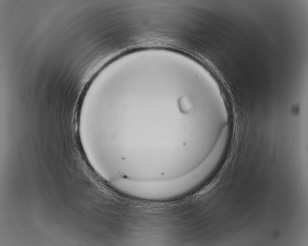 X0000115170885200912091021