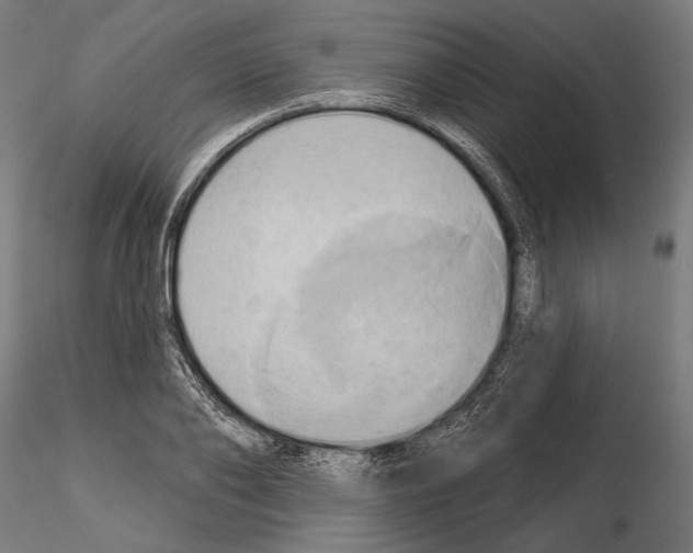 X0000115170886200912091021