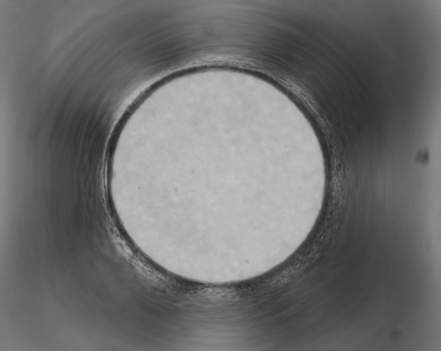 X0000115170888200912091021