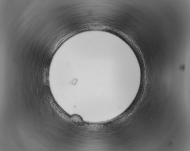 X0000115170889200912091021