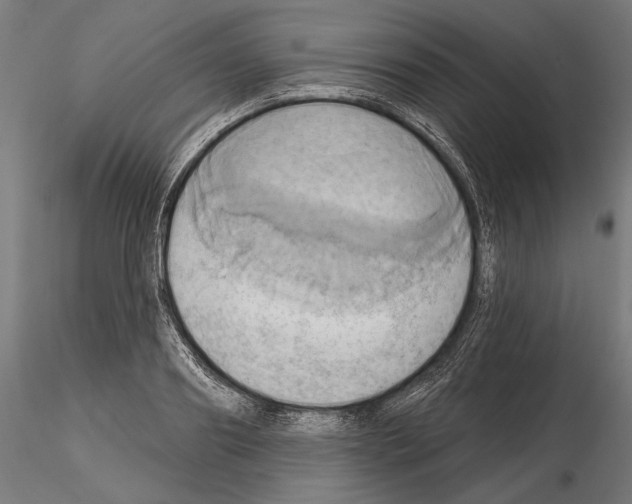 X0000115170890200912091021