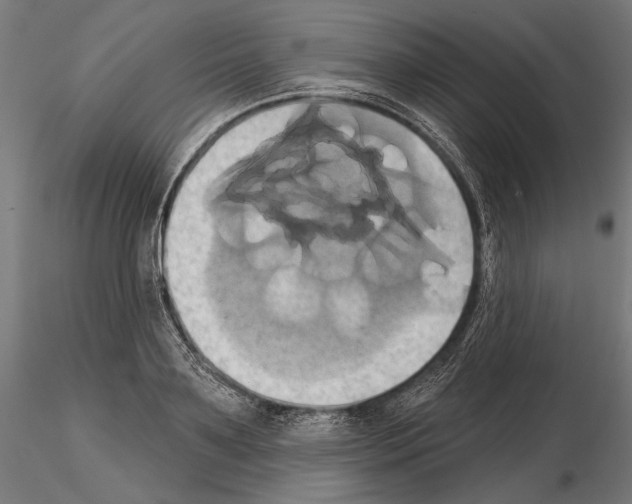 X0000115170891200912091021