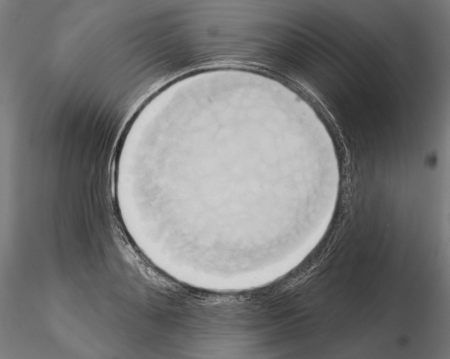 X0000115170892200912091021