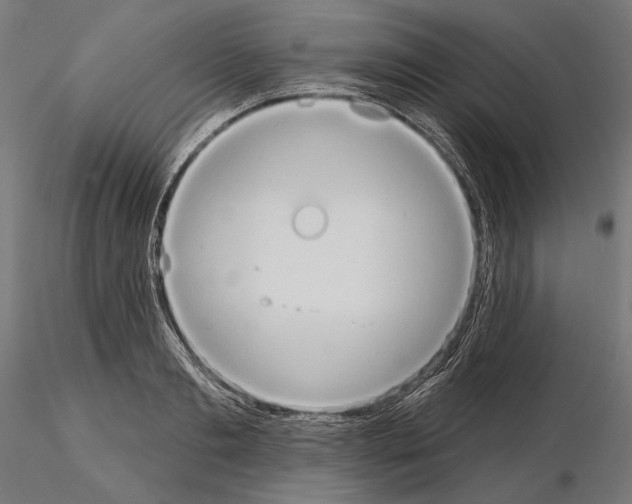 X0000115170893200912091021