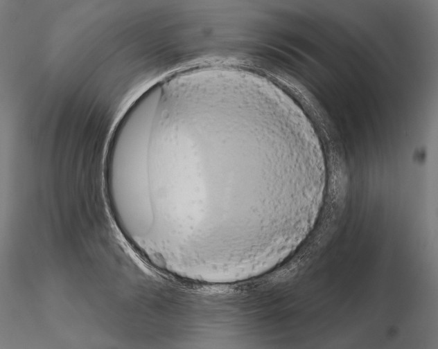 X0000115170894200912091021