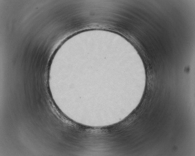 X0000115170896200912091021