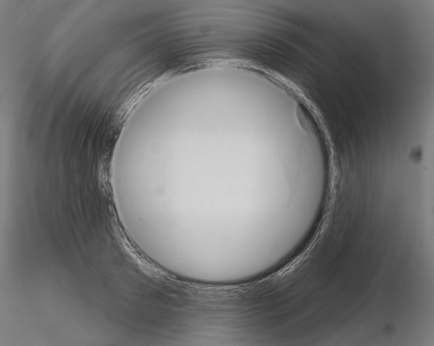 X0000115170897200912091021