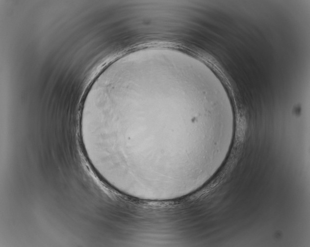 X0000115170898200912091020