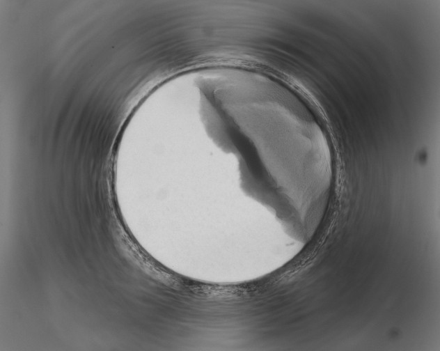 X0000115170899200912091020