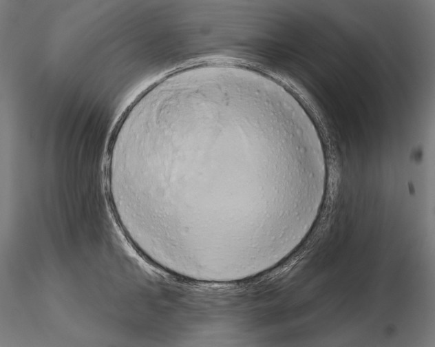 X0000115170902200912091020