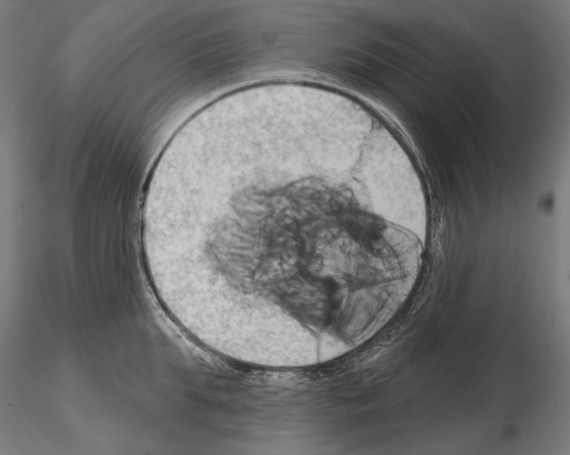 X0000115170903200912091020