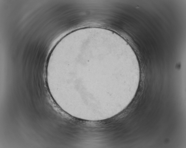 X0000115170904200912091020