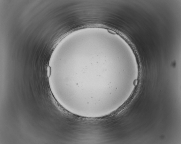 X0000115170905200912091020