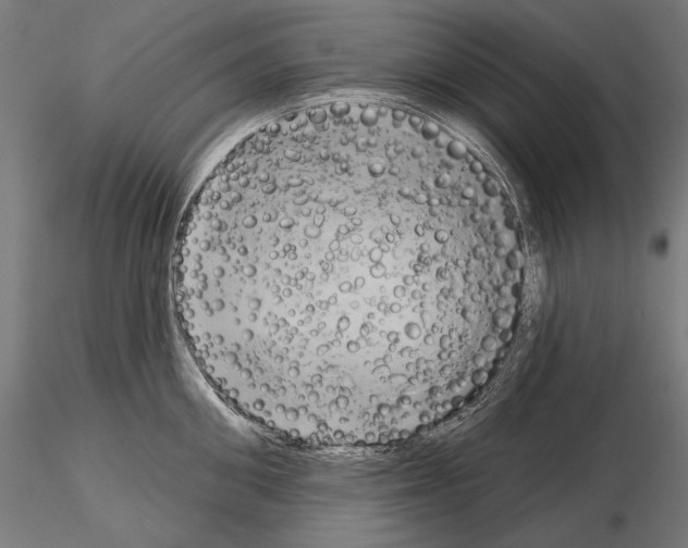 X0000115170906200912091020