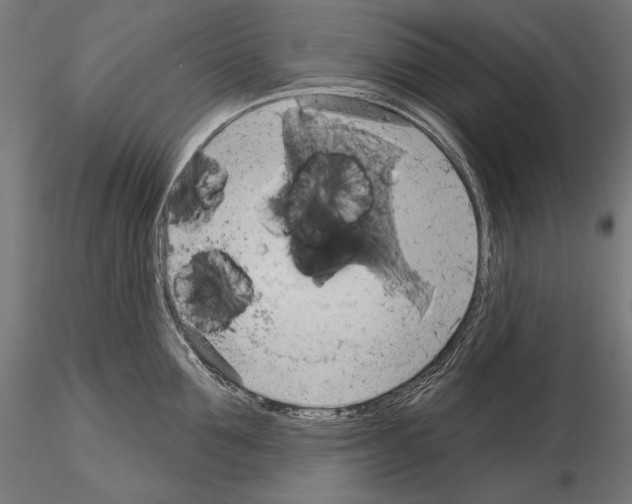 X0000115170907200912091020