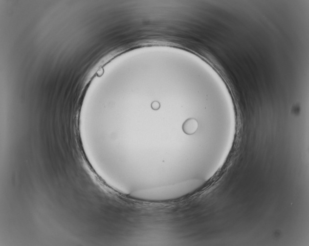 X0000115170909200912091020