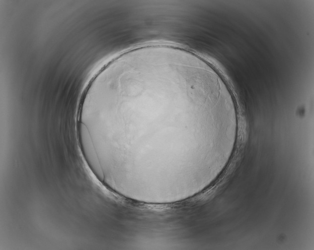 X0000115170910200912091020