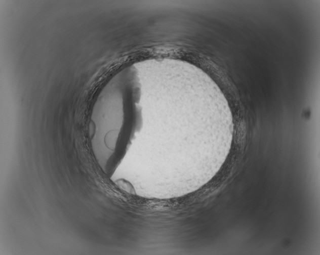 X0000115170913200912091020